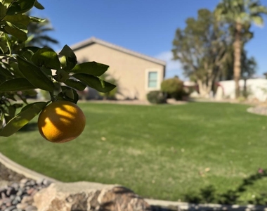 80372 Camino San Lucas - Photo Thumbnail 87