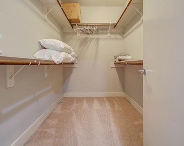 509 Gregg Street - Photo Thumbnail 37