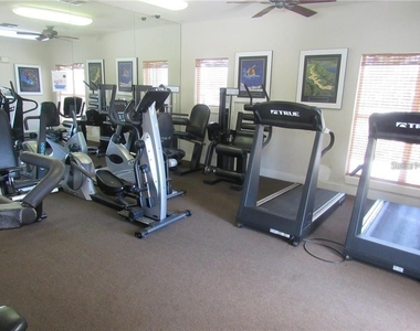 4211 Chatham Oak Court - Photo Thumbnail 15