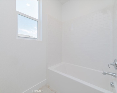 446 Lobata - Photo Thumbnail 29
