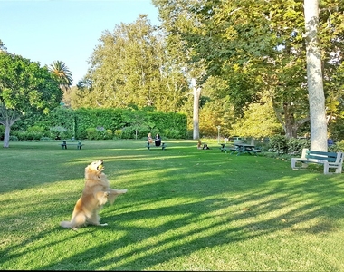 1131 Emerald Bay - Photo Thumbnail 29