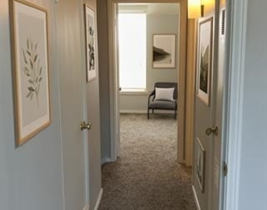9844 Valley Meadow Court - Photo Thumbnail 8