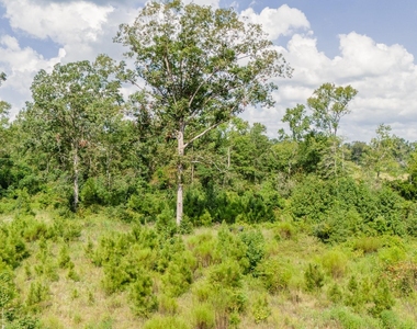 17171 E Fm 1097 Road - Photo Thumbnail 14