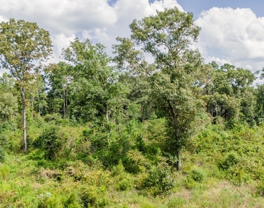 17171 E Fm 1097 Road - Photo Thumbnail 12