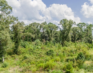17171 E Fm 1097 Road - Photo Thumbnail 13