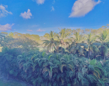 1000 Ne 14th Avenue - Photo Thumbnail 8