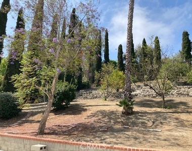 25042 Armagosa Drive - Photo Thumbnail 20