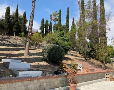 25042 Armagosa Drive - Photo Thumbnail 19