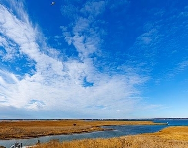 7 Widgeon Way - Photo Thumbnail 13