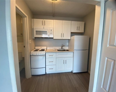 515 Bon Air Street - Photo Thumbnail 1