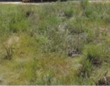 1540 Road 5860 - Photo Thumbnail 1