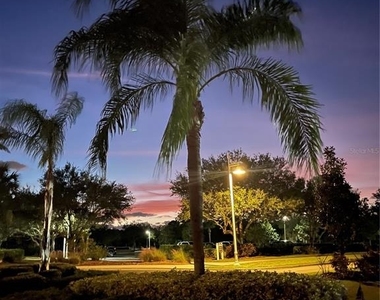 12432 Palatka Drive - Photo Thumbnail 23
