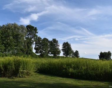 188 South Road - Photo Thumbnail 13