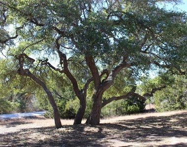 14111 S Green Hills Loop - Photo Thumbnail 11