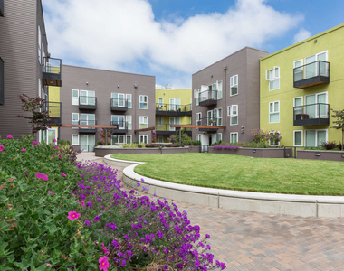1333 Powell Street - Photo Thumbnail 37