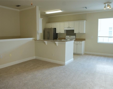 233 Southern Pecan Circle - Photo Thumbnail 12