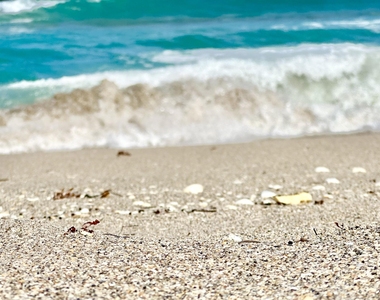 5400 N Ocean Drive - Photo Thumbnail 12