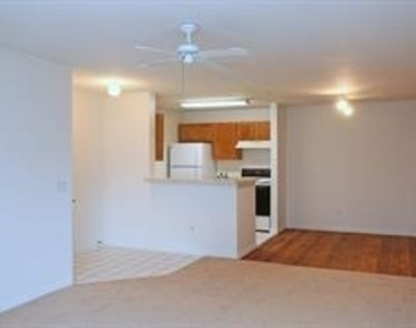 1500 Hackberry Lane - Photo Thumbnail 3