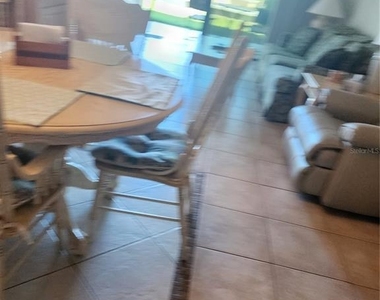 6268 Palma Del Mar Boulevard S - Photo Thumbnail 6