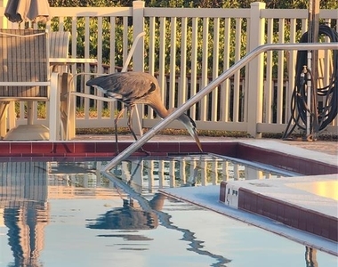 6361 Bahia Del Mar Boulevard - Photo Thumbnail 27