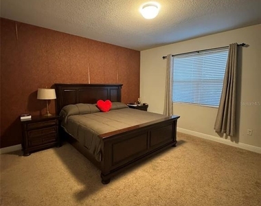 362 Casa Verano Ln - Photo Thumbnail 10
