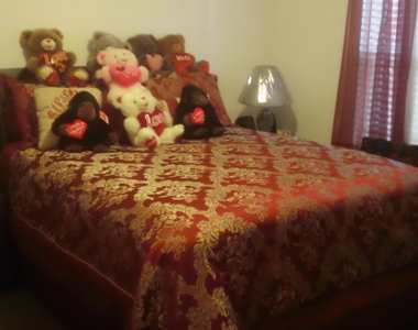 6495 Wellington Chase Court - Photo Thumbnail 14