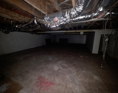 1007 Pine Street - Photo Thumbnail 37