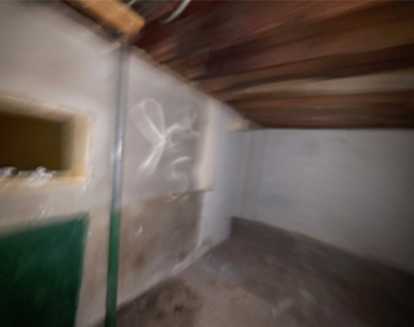 1007 Pine Street - Photo Thumbnail 38