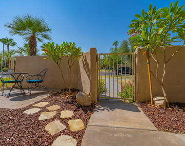 29118 Desert Princess Drive - Photo Thumbnail 24
