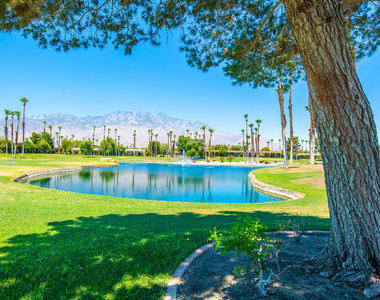 28859 Desert Princess Drive - Photo Thumbnail 26