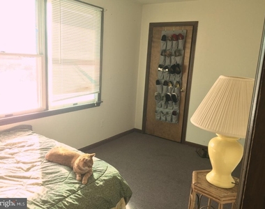 213 Laurel Avenue - Photo Thumbnail 10