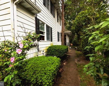 213 Laurel Avenue - Photo Thumbnail 3
