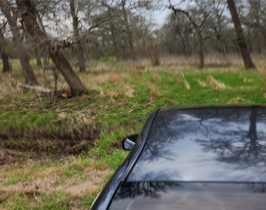 15530 Tierra Grande Drive - Photo Thumbnail 1