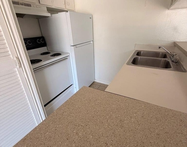 820 W Alabama Street - Photo Thumbnail 4