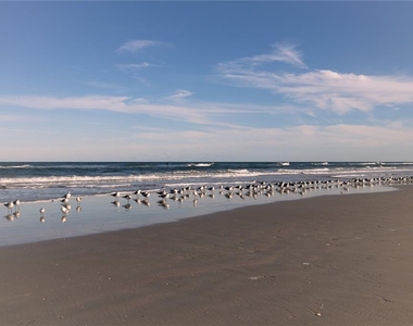 3801 S Atlantic Avenue - Photo Thumbnail 25
