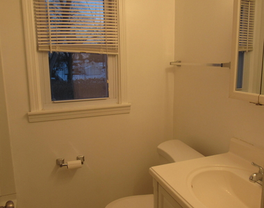 34b Commodore Street - Photo Thumbnail 19