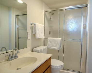 10851 Gulf Shore Drive - Photo Thumbnail 15