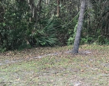1135 Baronscourt Drive - Photo Thumbnail 33