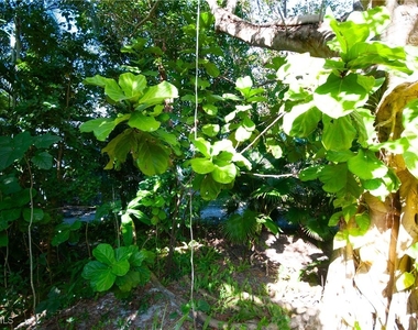 1313 Solana Road W - Photo Thumbnail 28