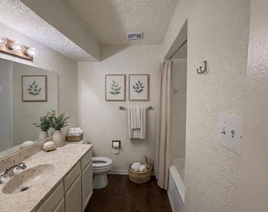 2509 Stanford Street - Photo Thumbnail 21