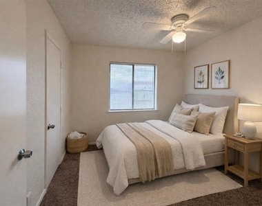 2509 Stanford Street - Photo Thumbnail 18