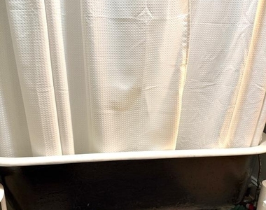 2217 Fitzwater Street - Photo Thumbnail 8