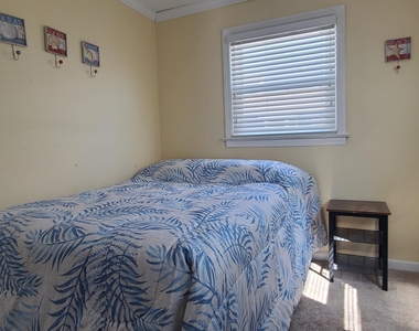259 Joseph Street - Photo Thumbnail 19