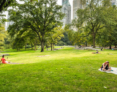 305 West 50th Street - Photo Thumbnail 13