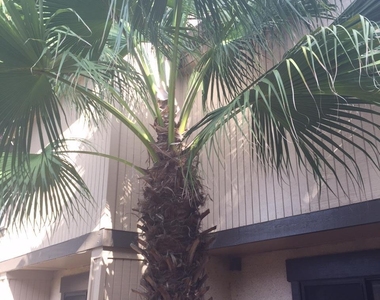7703 Las Palmas Way - Photo Thumbnail 5