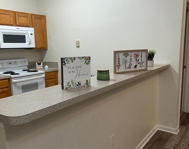 6063 Maggies Circle - Photo Thumbnail 4