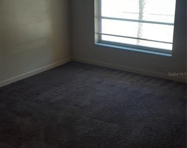3919 E Fern Street - Photo Thumbnail 6