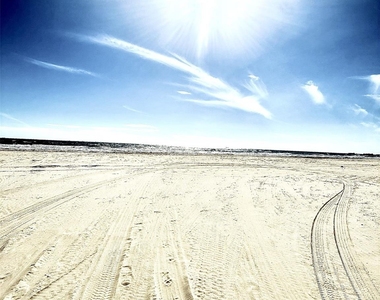1069 Joy - Photo Thumbnail 4