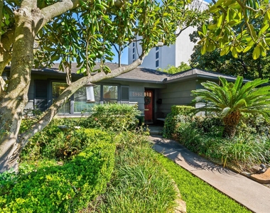 3902 Colquitt Street - Photo Thumbnail 7