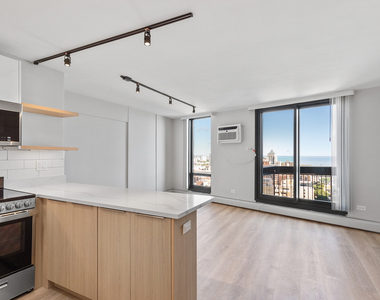 6166 N Sheridan Road - Photo Thumbnail 2